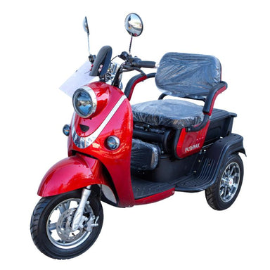 Pushpak 1000 2-Person Electric Trike Recreational Scooter