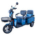Pushpak 3000 2-Person Electric Trike Recreational Scooter
